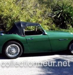 Austin Healey 