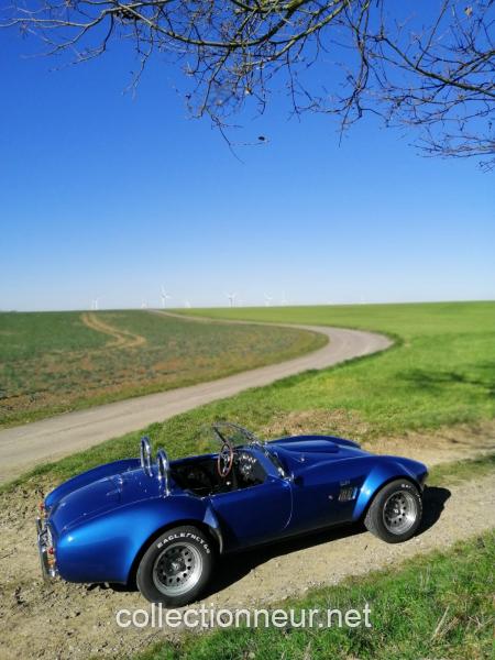 ac cobra v6
