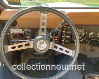 JEEP CJ7 Golden Eagle 5.0 V8