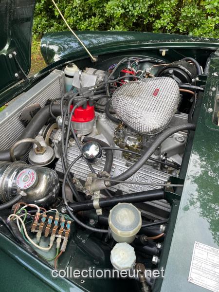 SUNBEAM Tiger de 1966 à vendre