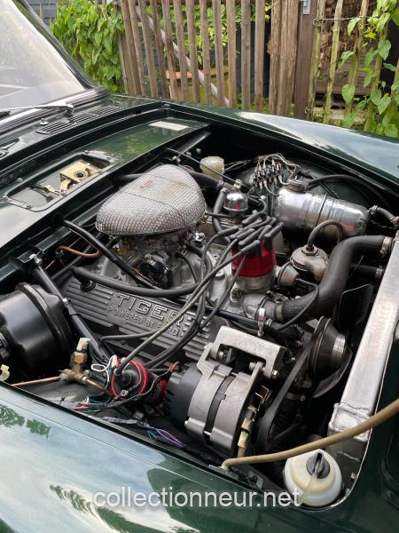 SUNBEAM Tiger de 1966 à vendre